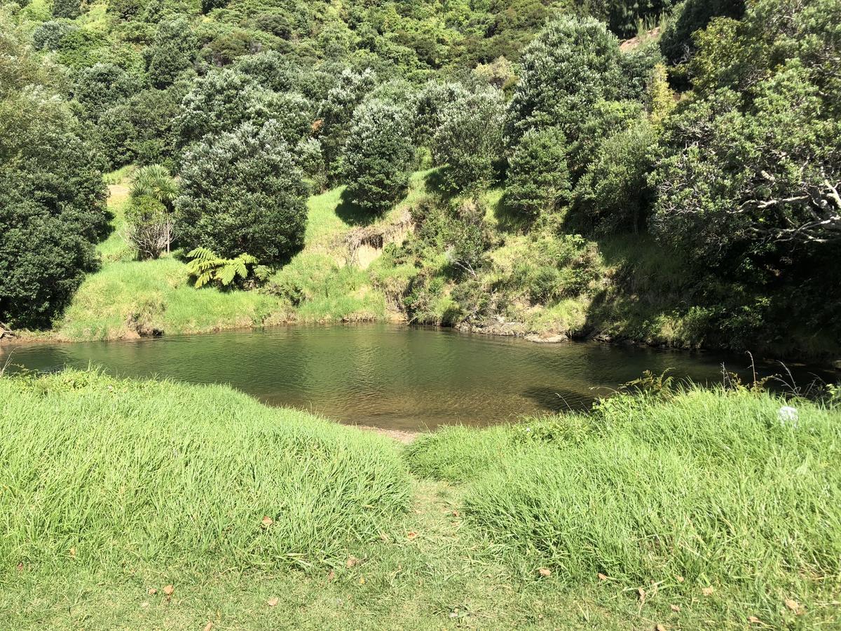 Te Mata Bay Seaviews Bed & Breakfast Tapu Exterior foto